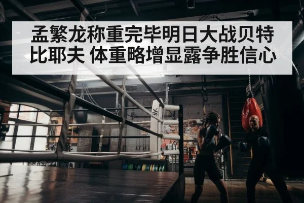 boxer training