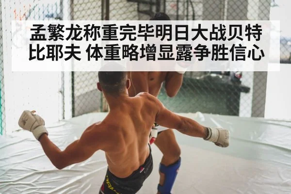 boxing fight